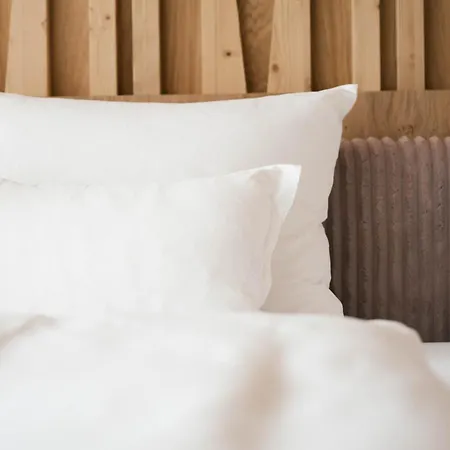 Hotel Boutique Pachers